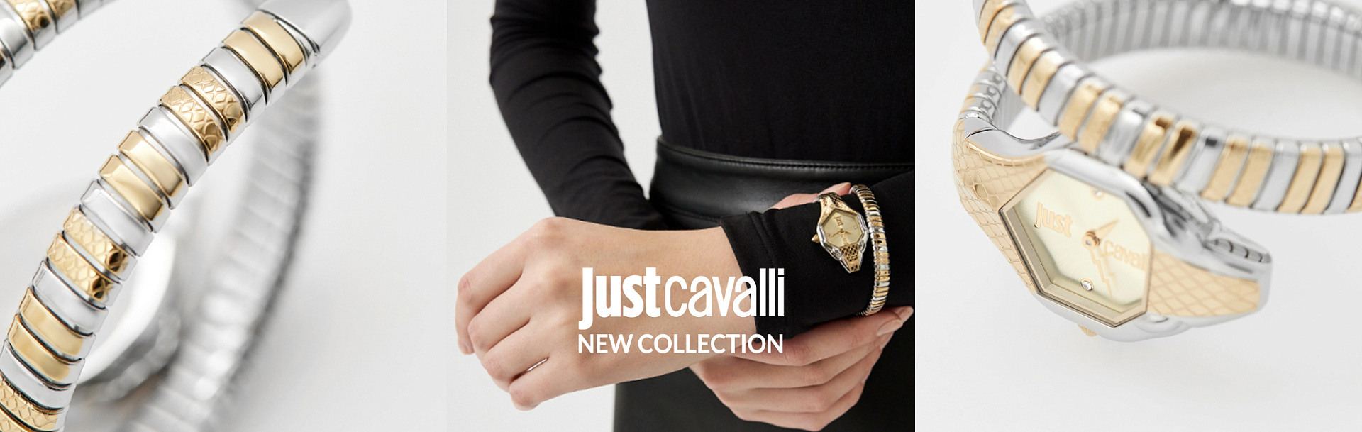 JustCavalliNC