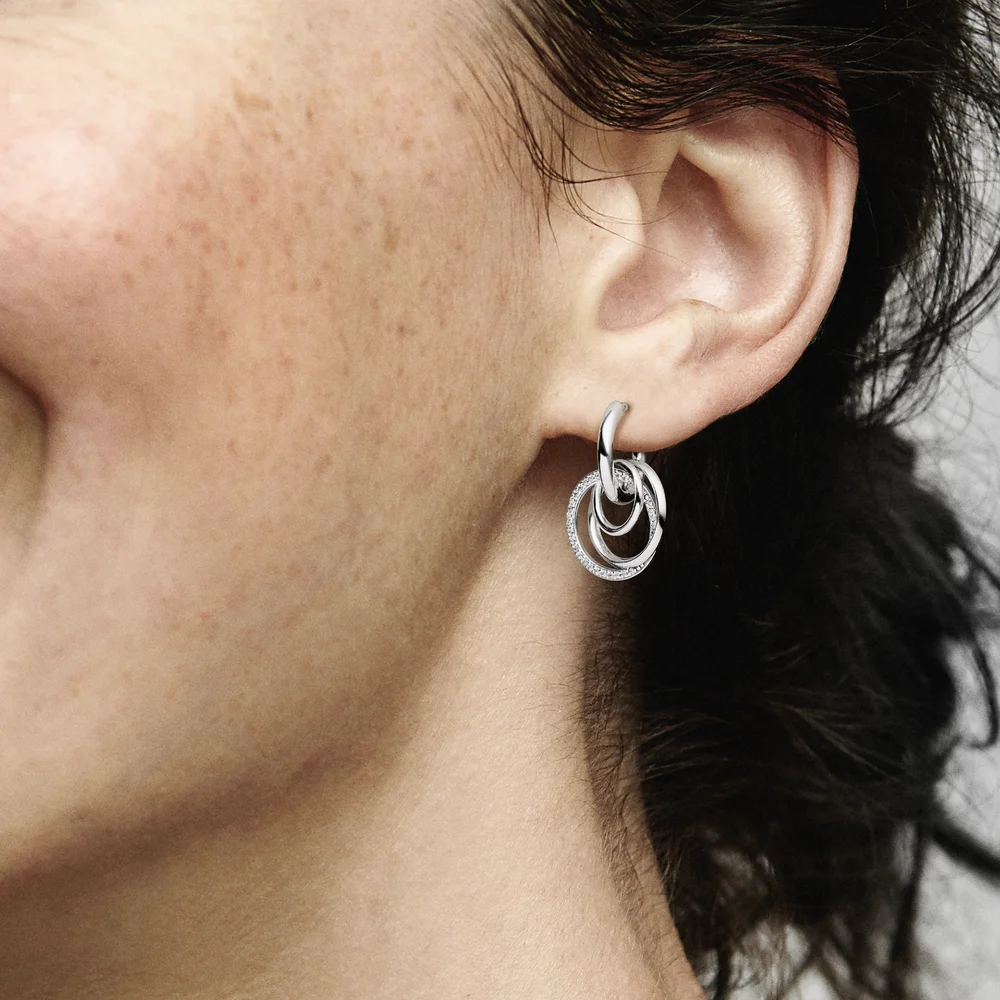 Moments Earring/291156C01