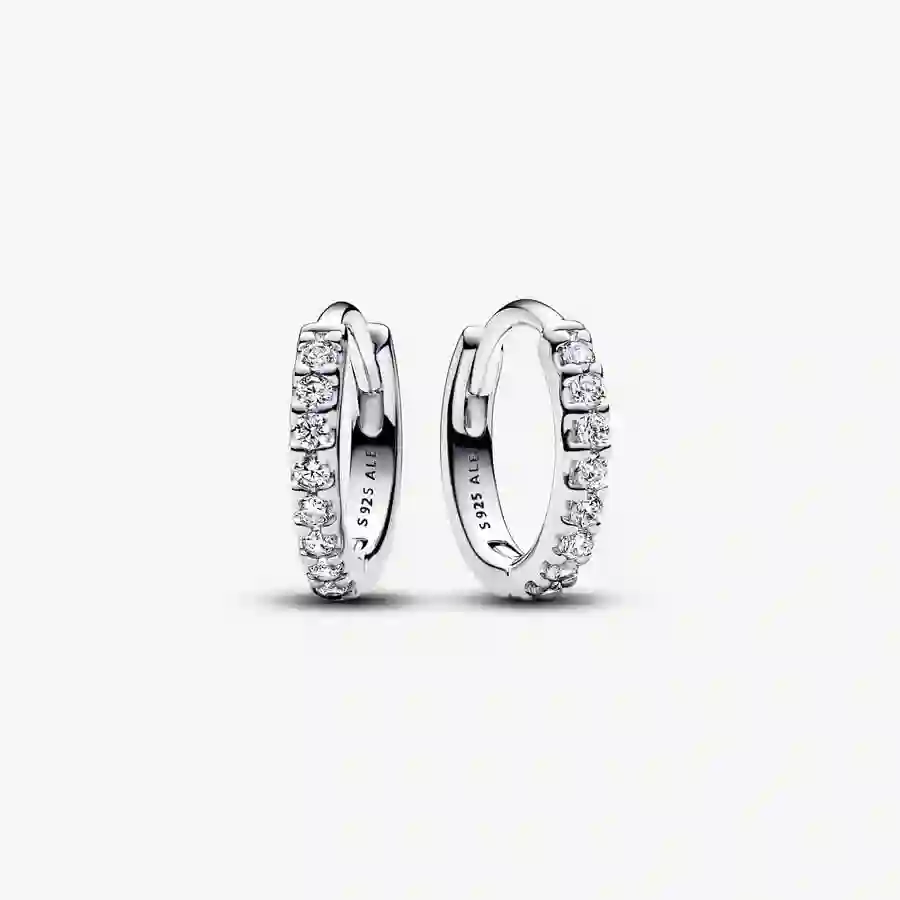 Earring/293015C01
