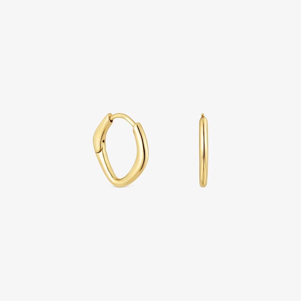 Earring / 1004134800