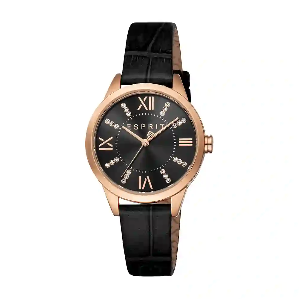 Quartz Wristwatch/ES1L259L6035