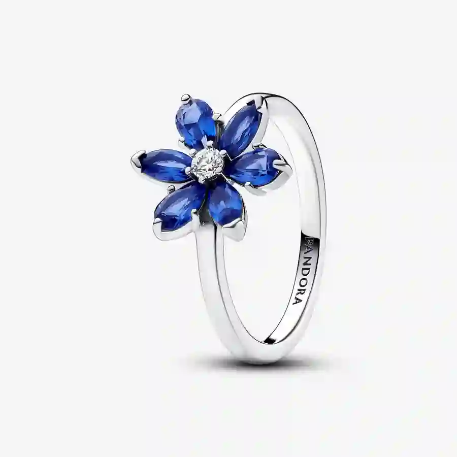 Ring/193000C01-52