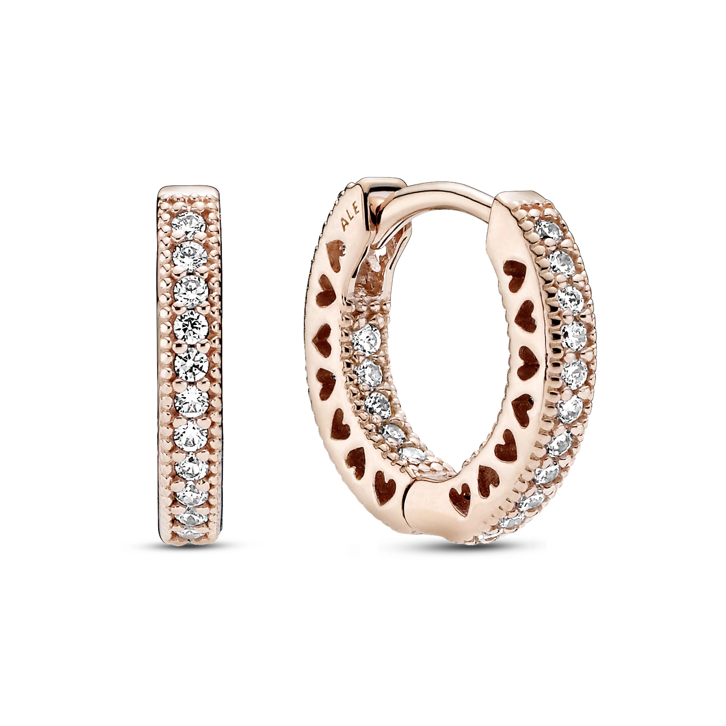 Rose Earring/286317C01