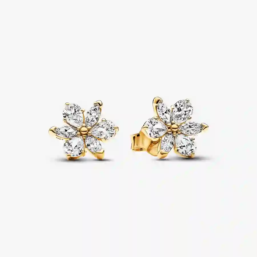 Earring/262633C01