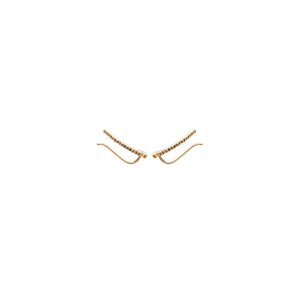 Earring/2514910