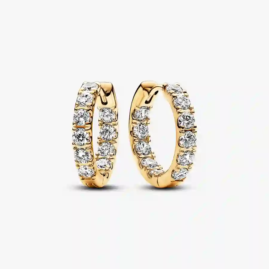 Earring/263002C01