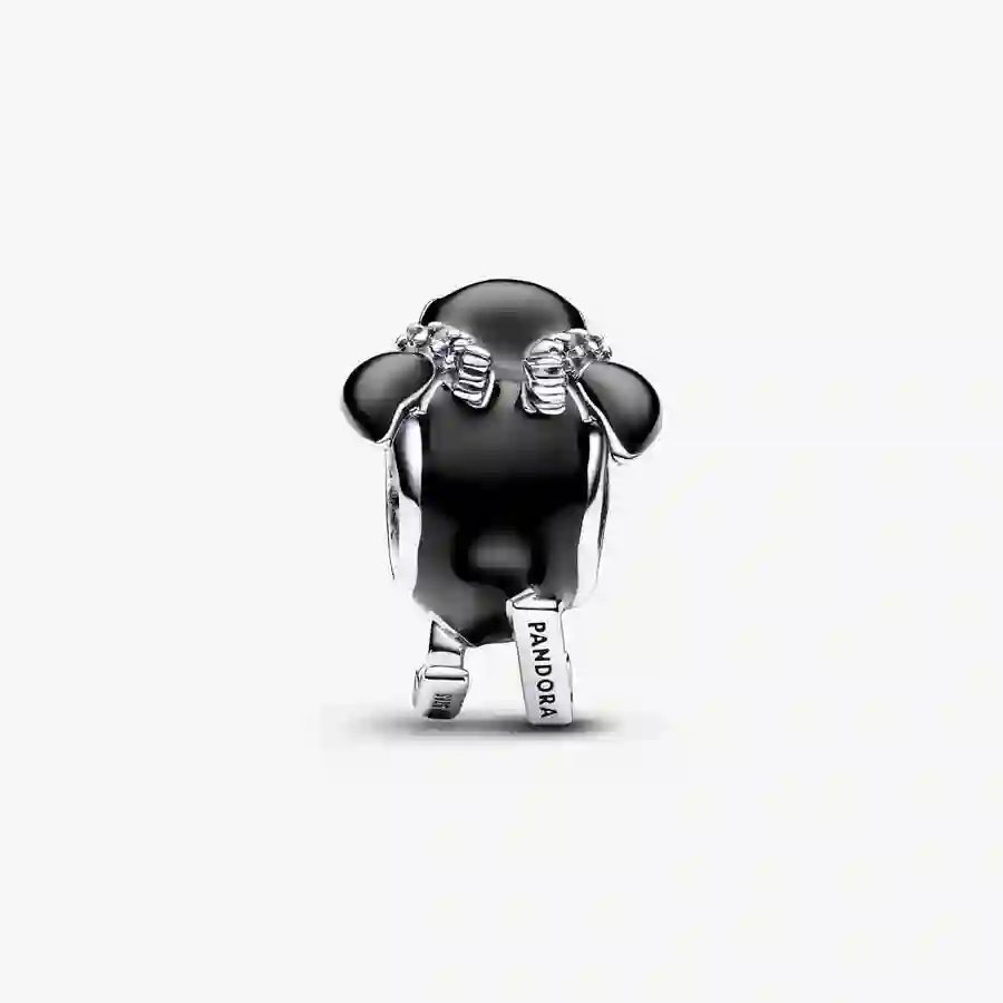 Charm/792988C01