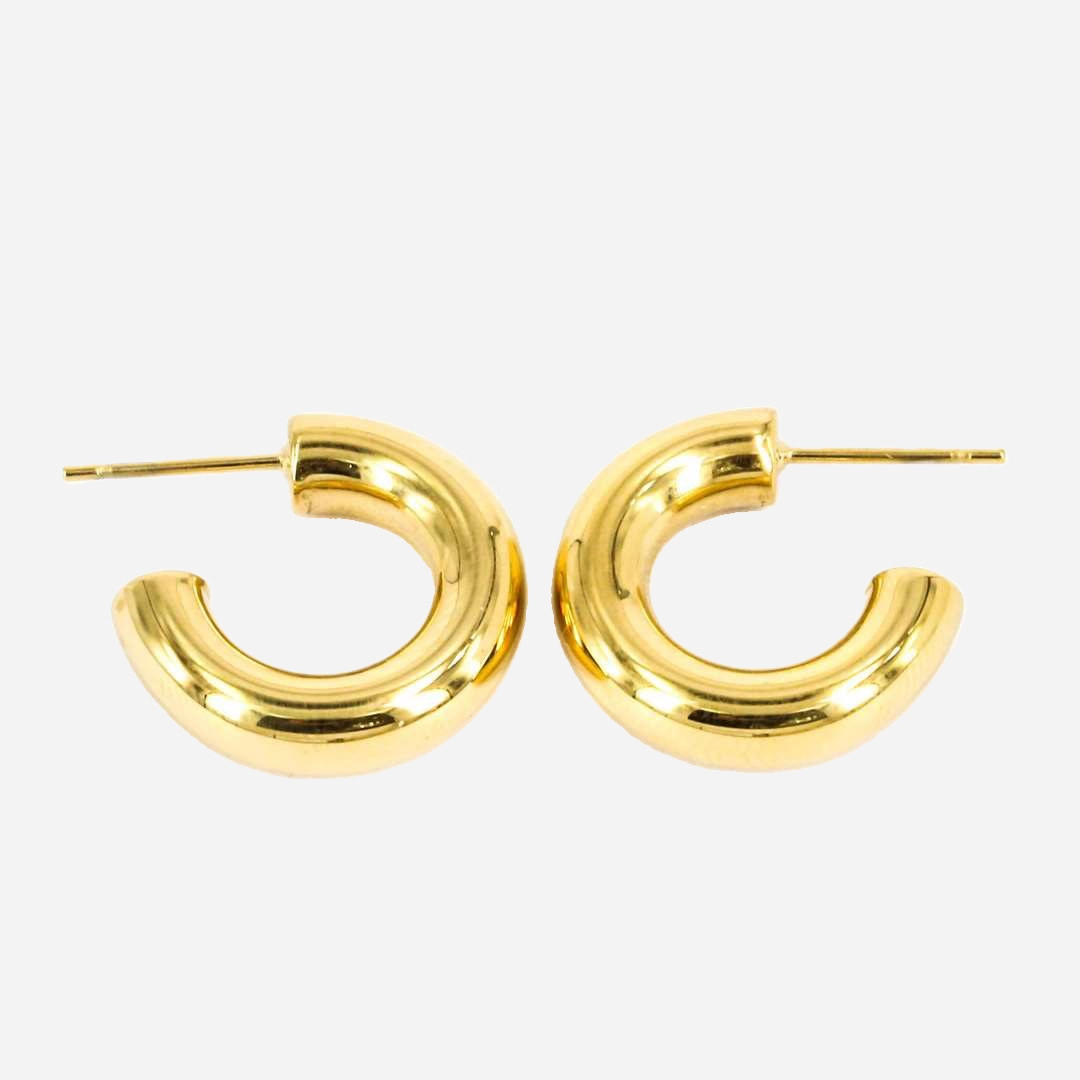 Zag Bijoux Surgical Stainless Steel Earring / SEC21313-01UNI5X20