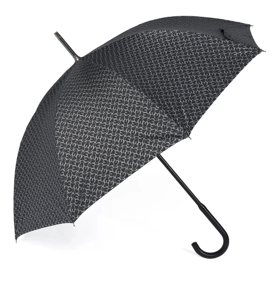 Umbrella / 095992010