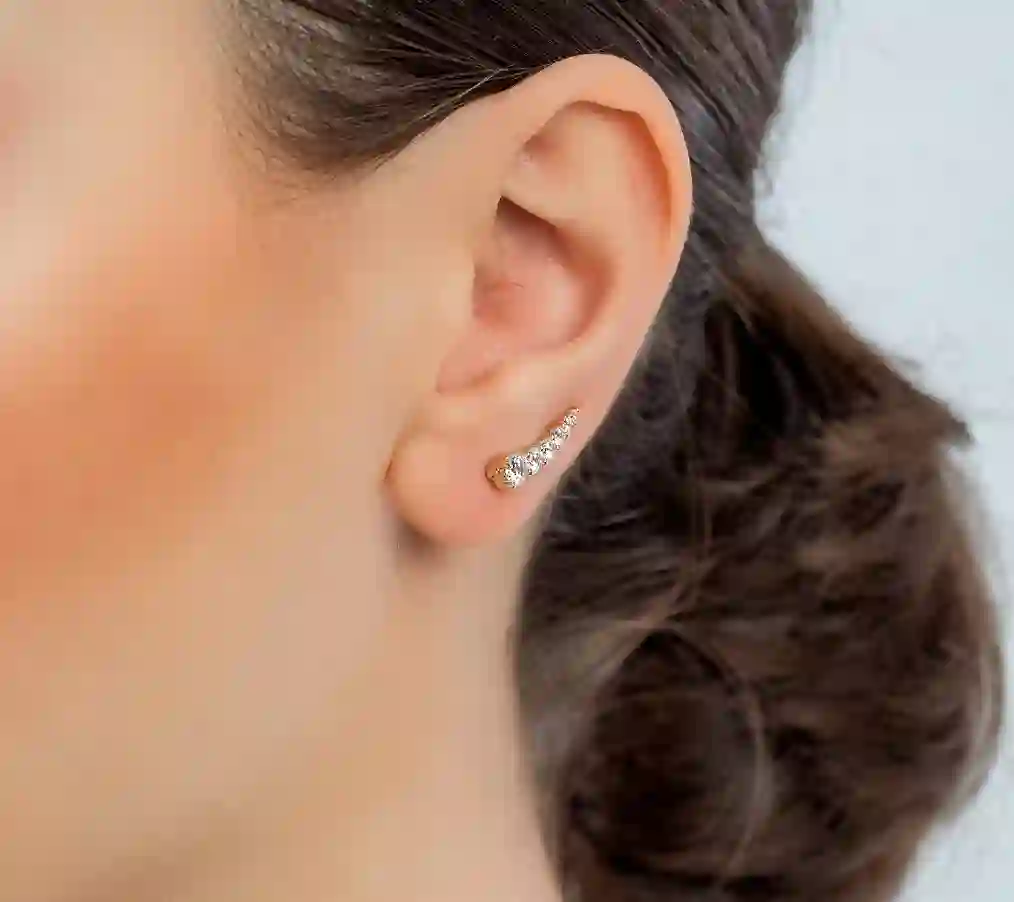Earring / 22977G
