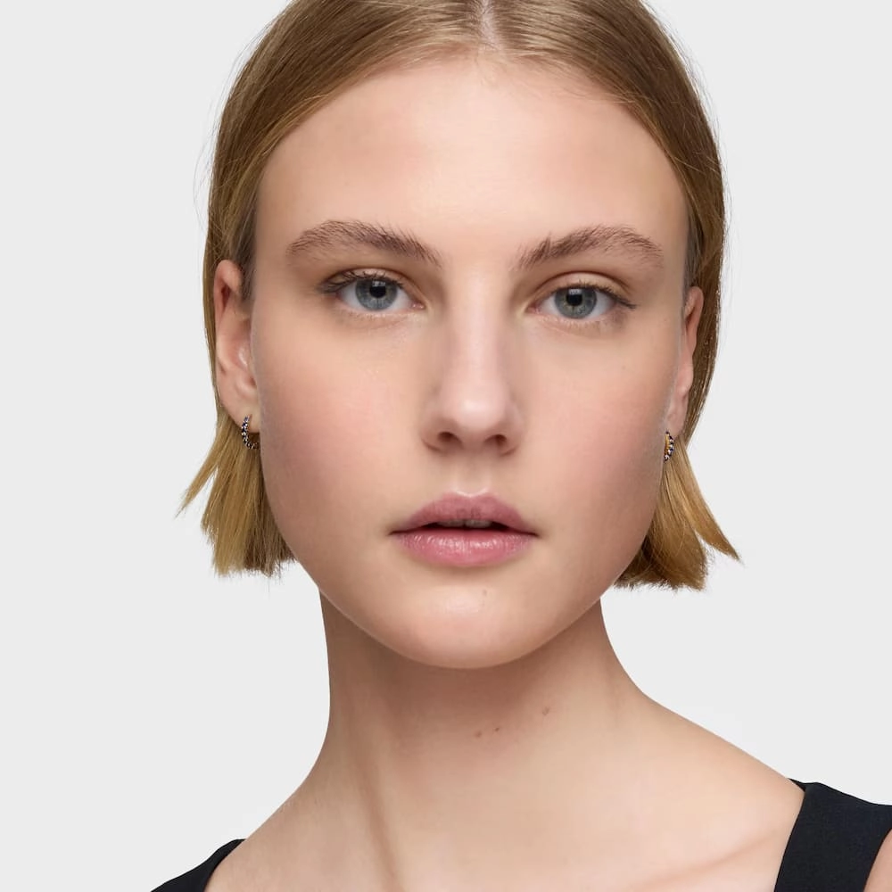 Earring / 1004317800