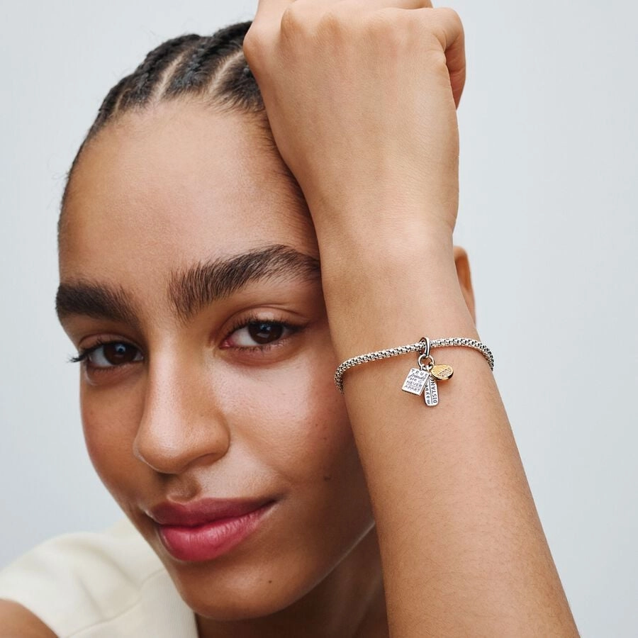 PANDORA Moments Charm / 763436C01