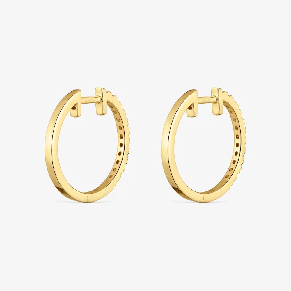 Earring / 1004133600