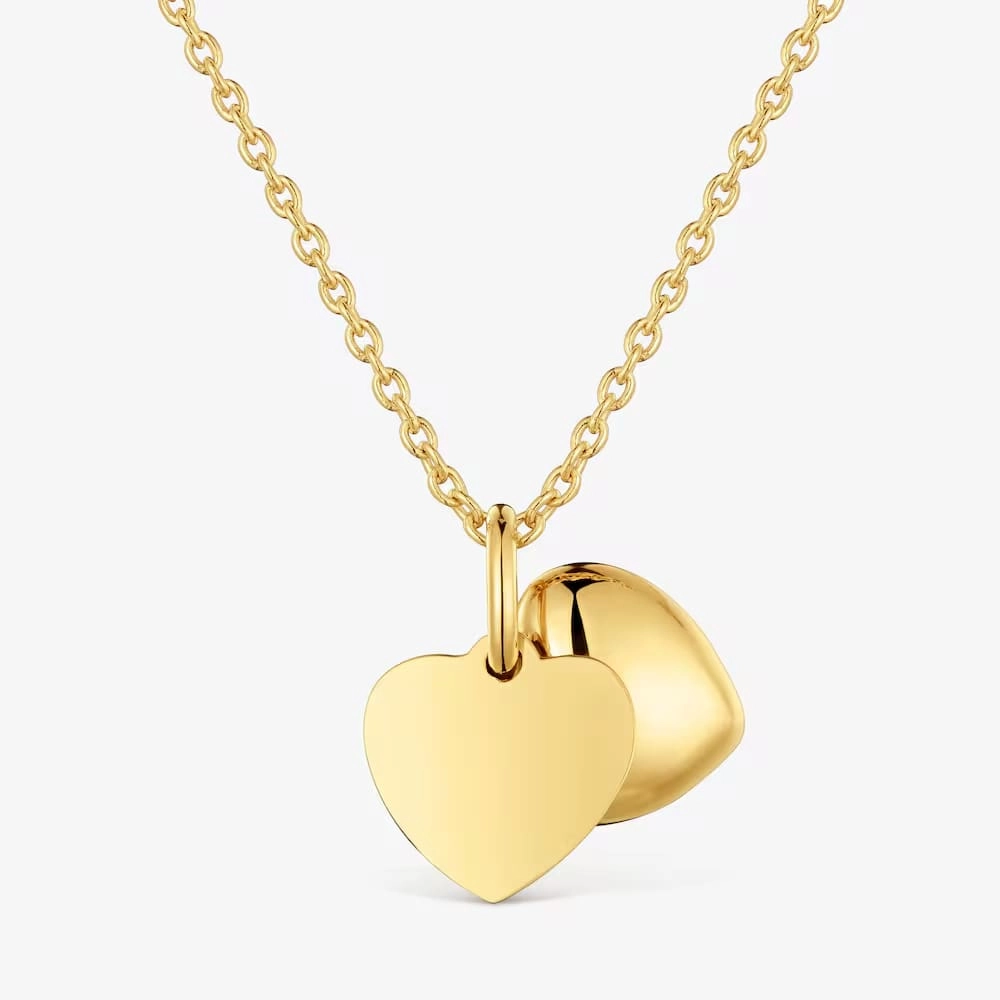 Necklace & Pendant / 1004560100