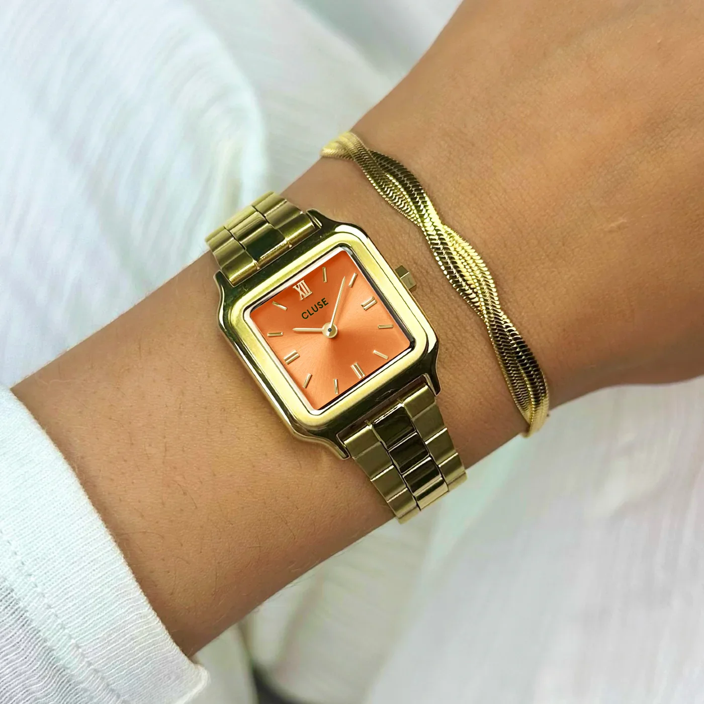 Cluse Quartz Watch Women/CW11807