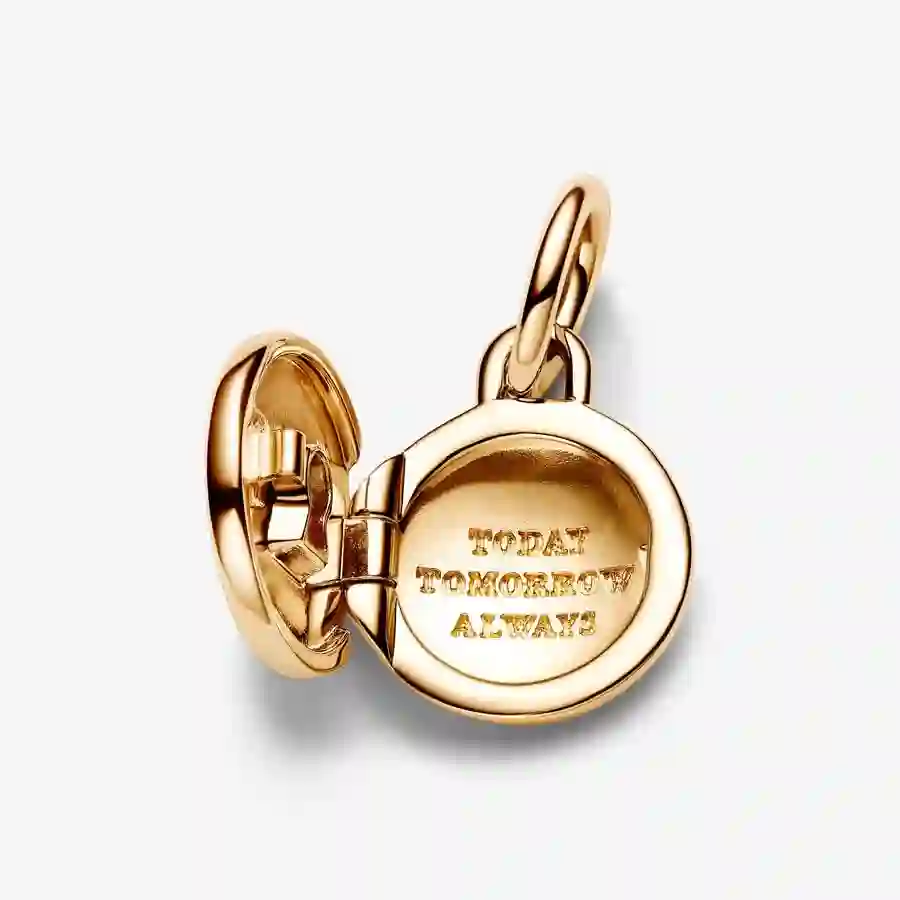 PANDORA 14K Gold Plated Charm/763066C01