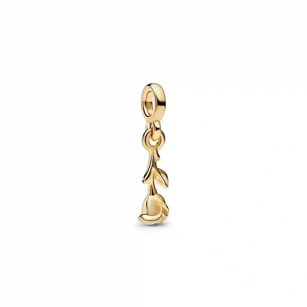 Charm / 762467C00