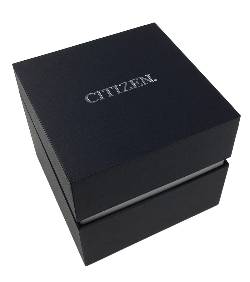 Wristwatch/BF2011-51L