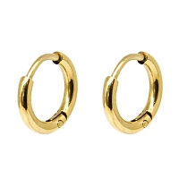 Zag Bijoux Surgical Stainless Steel Earring / SEC5838-01UNI