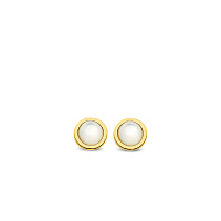 TI SENTO Earrings Gilded /7874MW