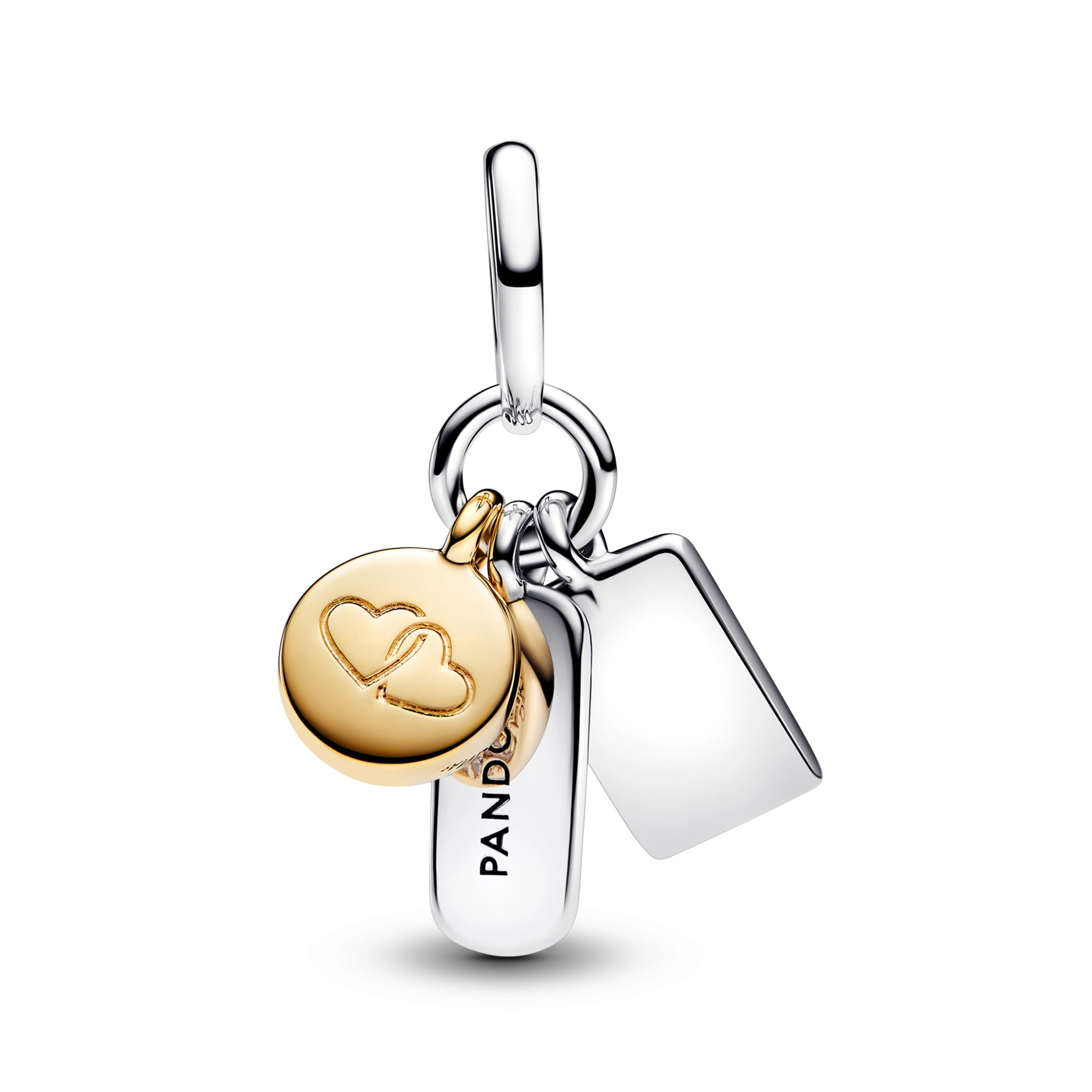 PANDORA Moments Charm / 763436C01