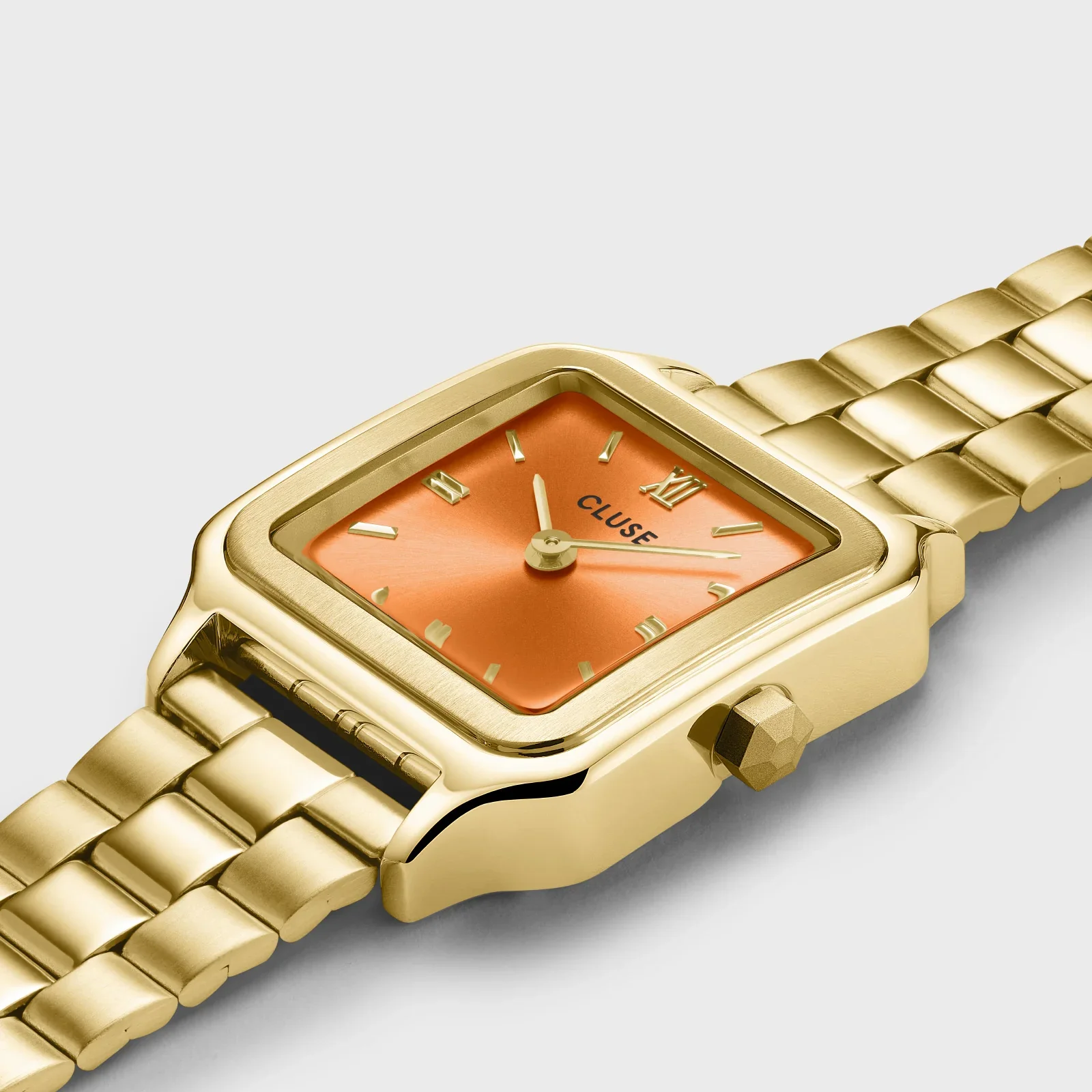 Cluse Quartz Watch Women/CW11807