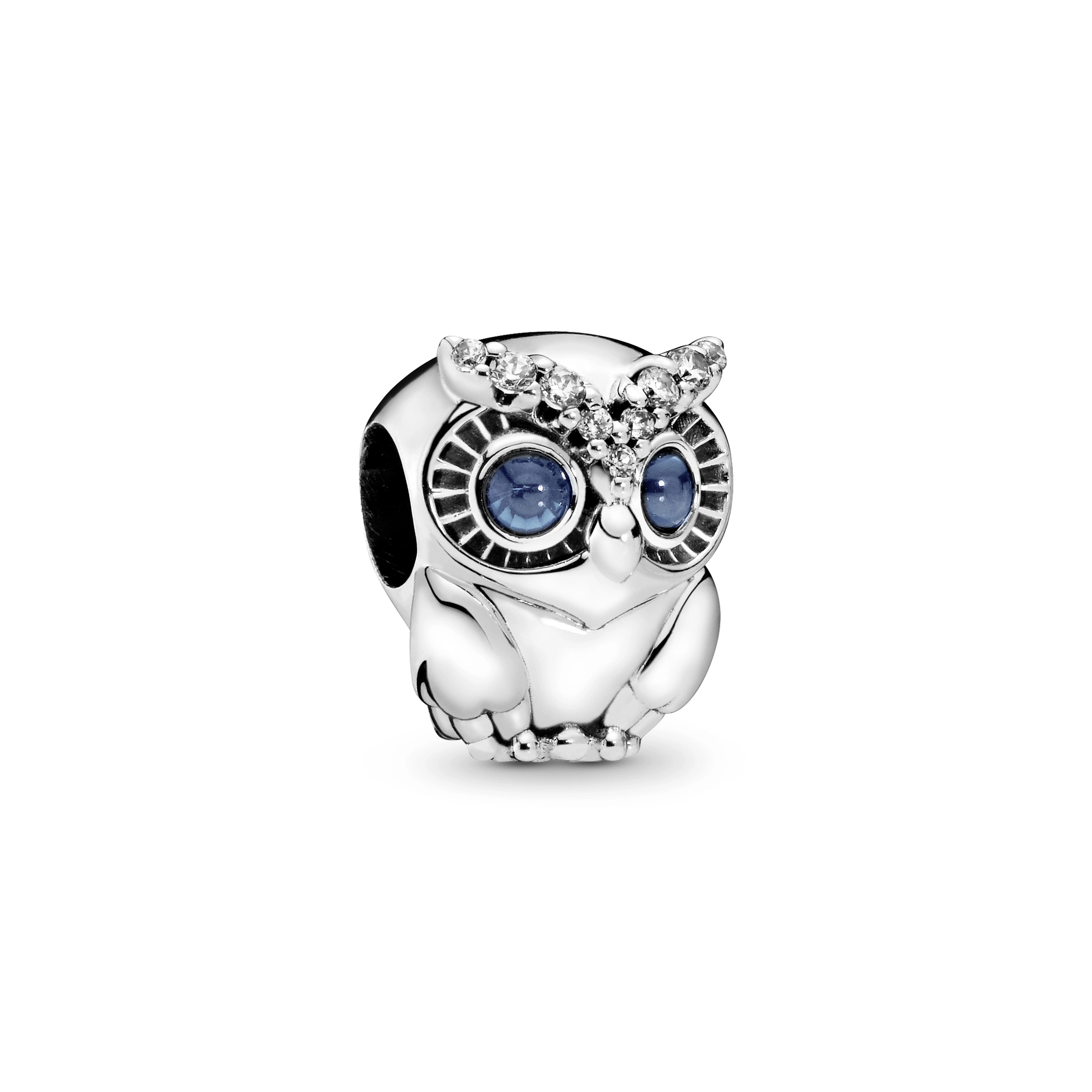PANDORA Moments Charm / 798397NBCB