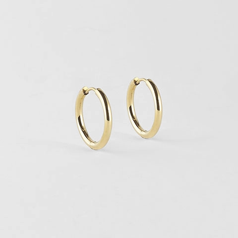 Earring / SEC5879-01UNI