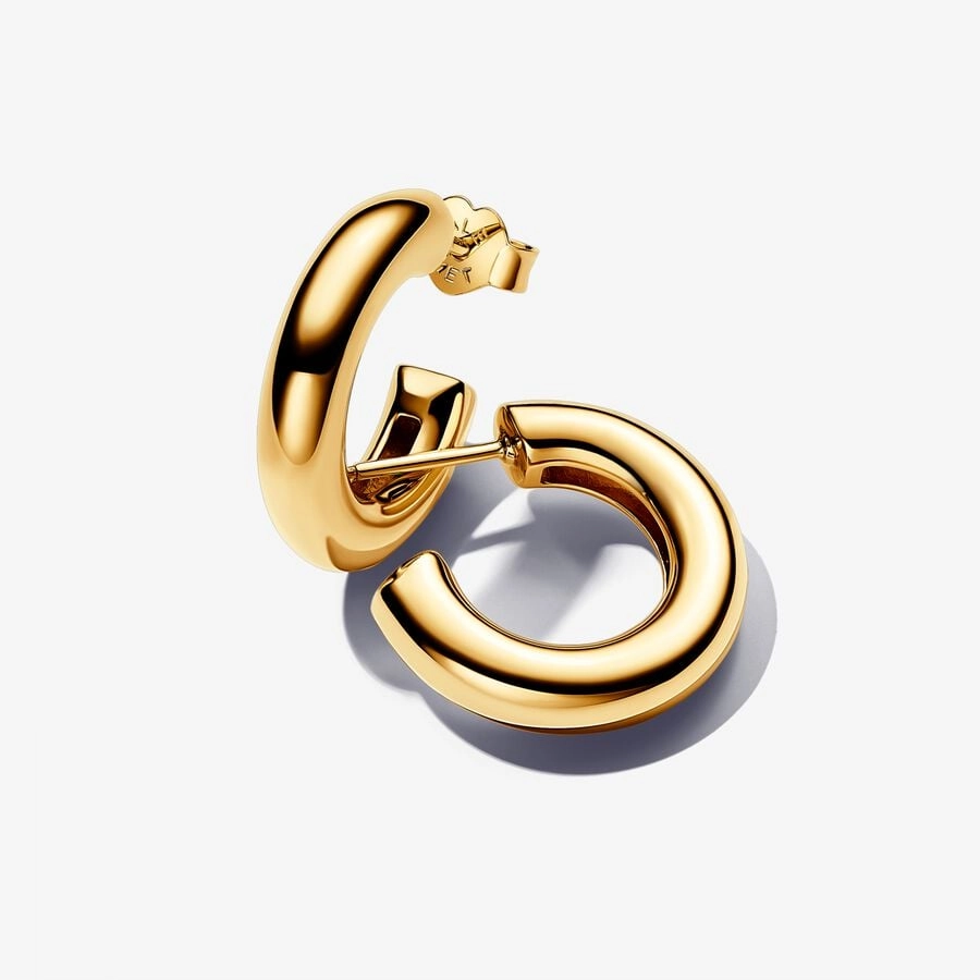 PANDORA Gold Plated metal blend Earring / 263266C00