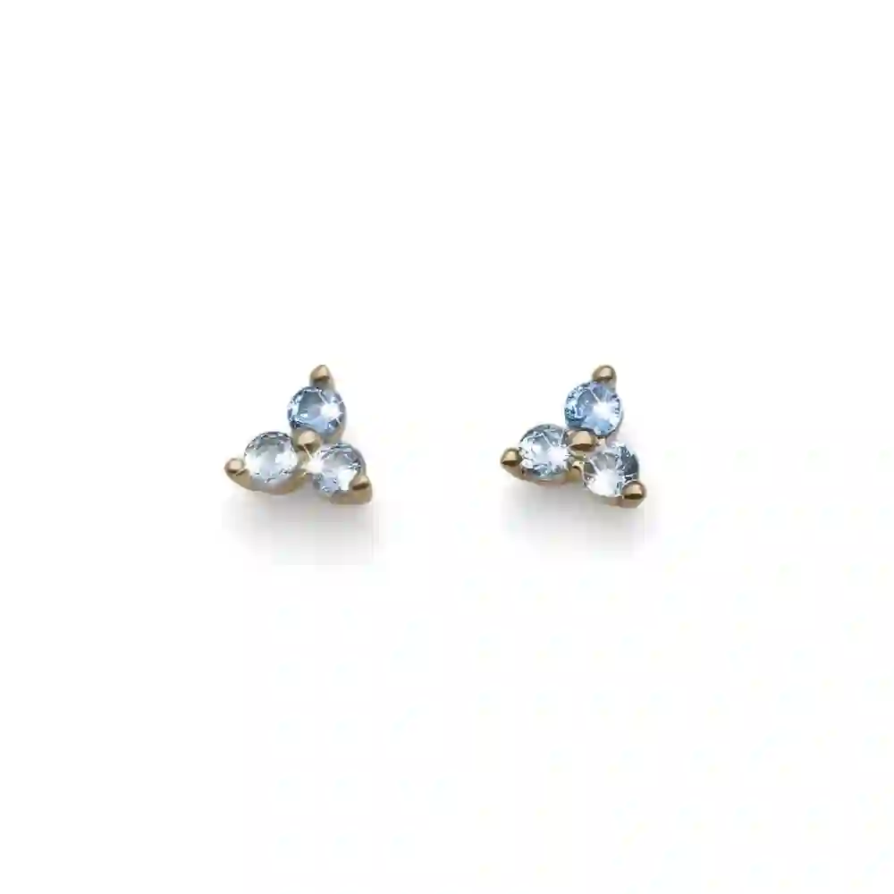 Earring/22988G