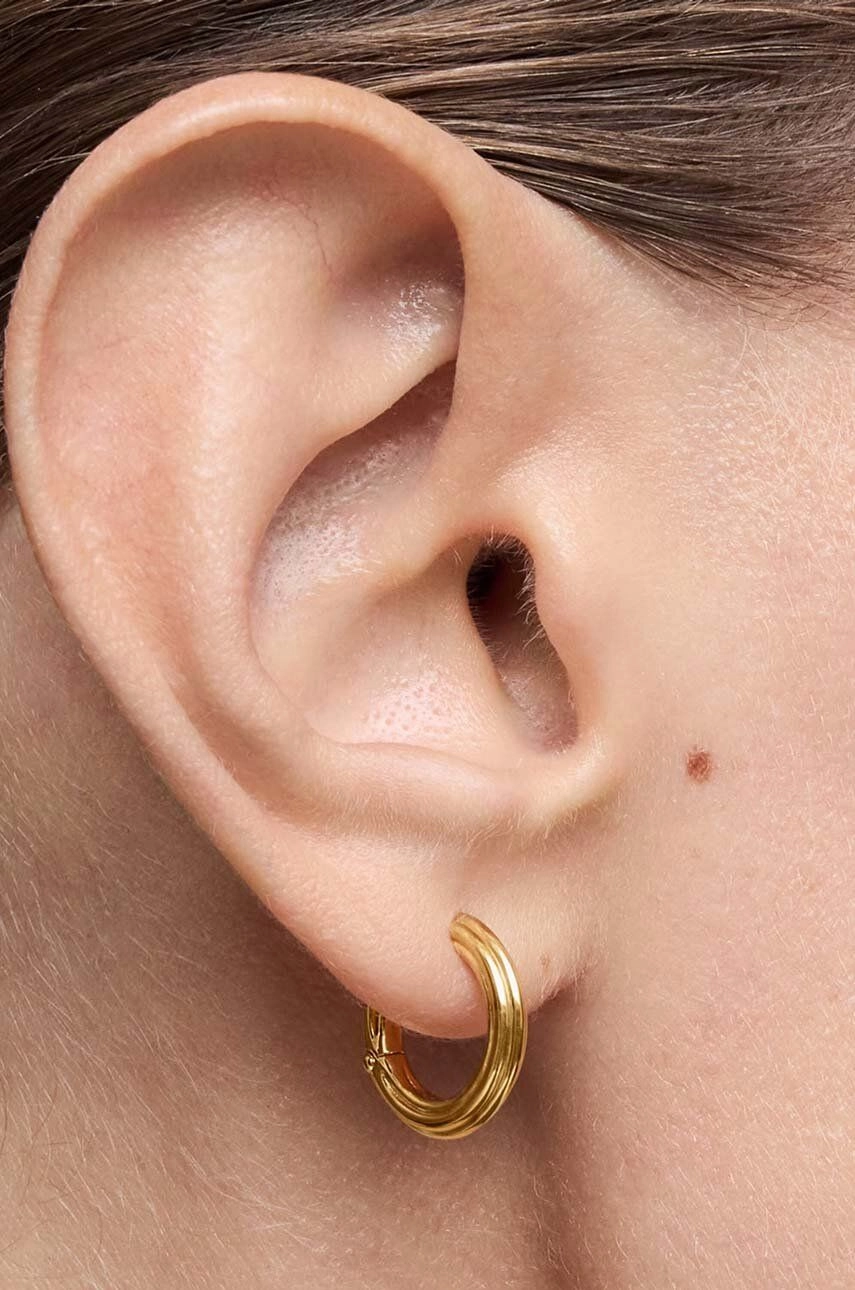 Earring / 1004243500