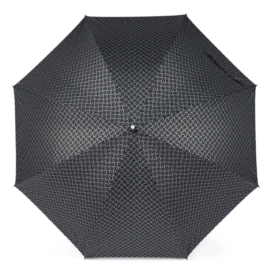 Umbrella / 095992010