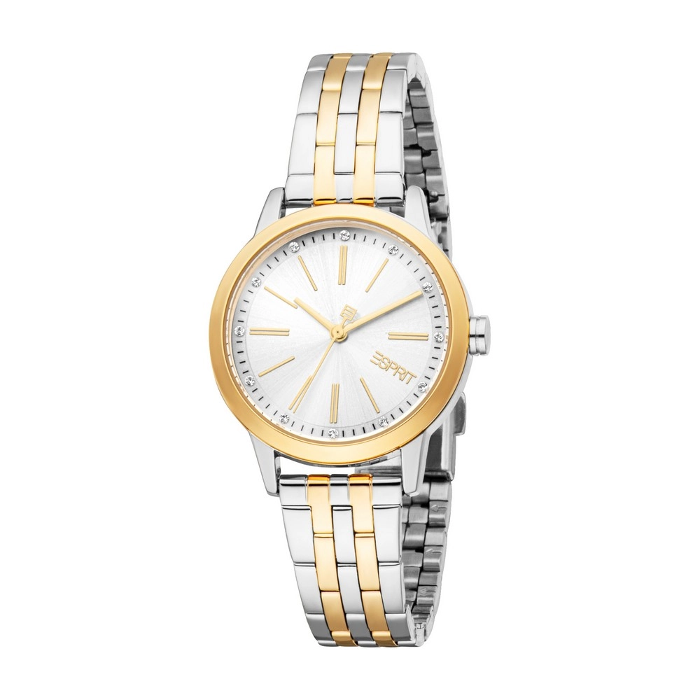 Quartz Wristwatch / ES1L484M1065