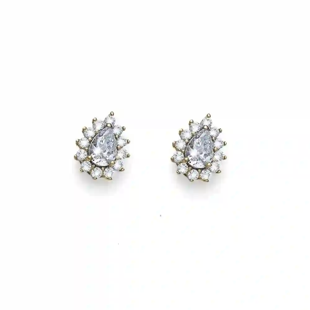 Earring / 22991G