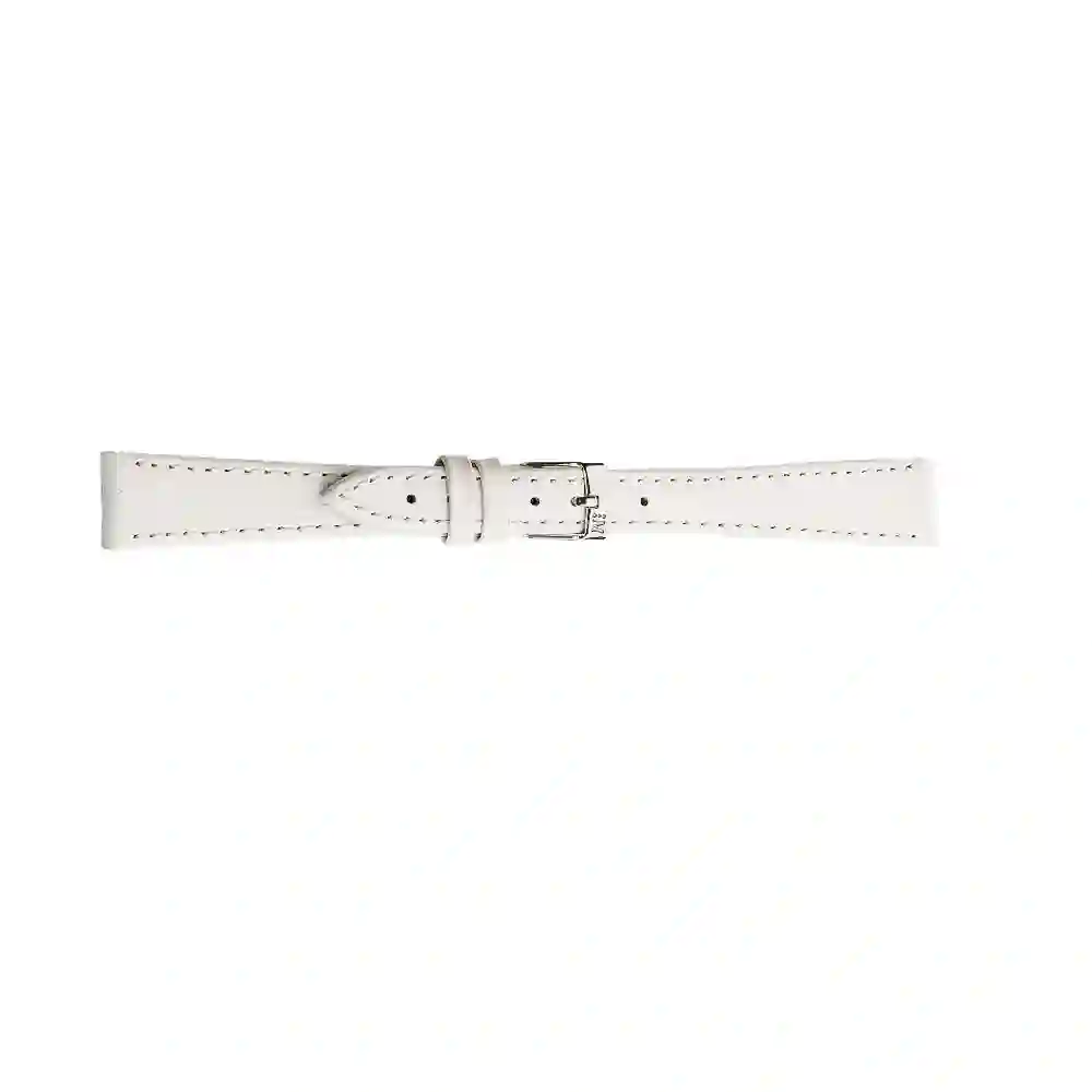 Watch strap/A01D0753333017CR10