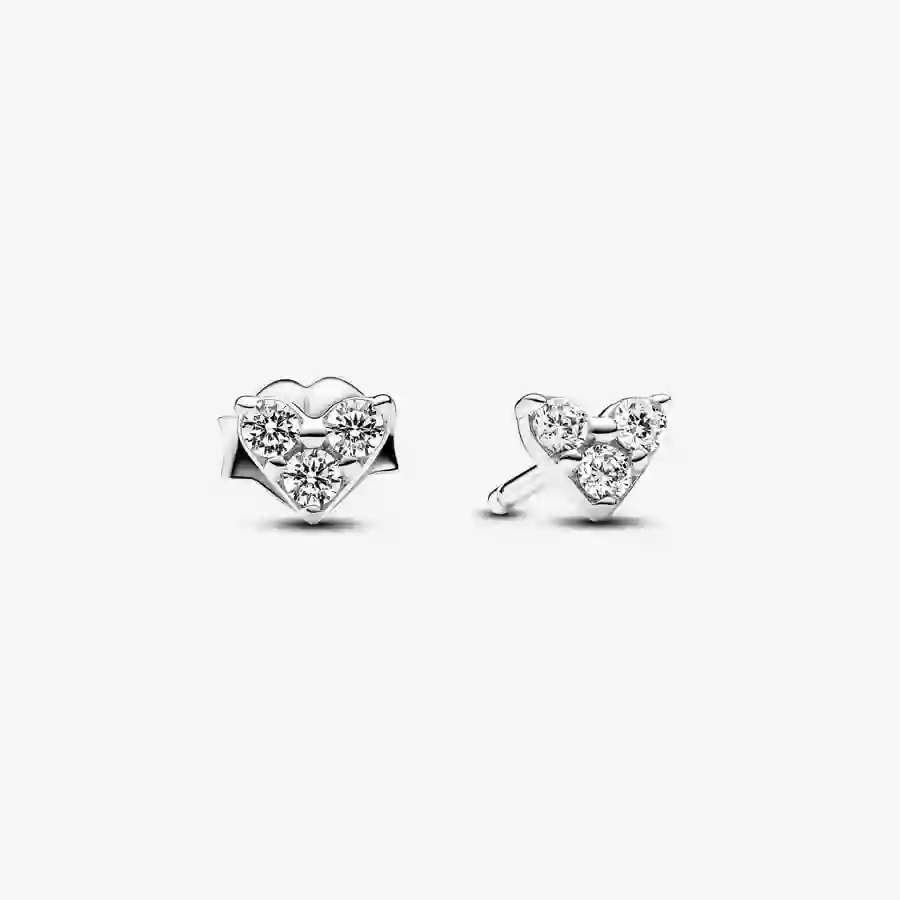 Earring/293003C01