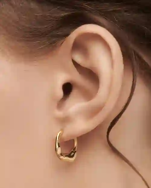 PDPAOLA Sterling Silver Earring / AR01-C27-U