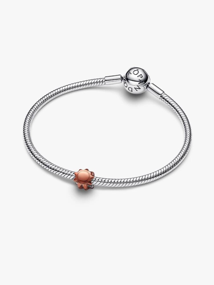 Charm / 794818C01