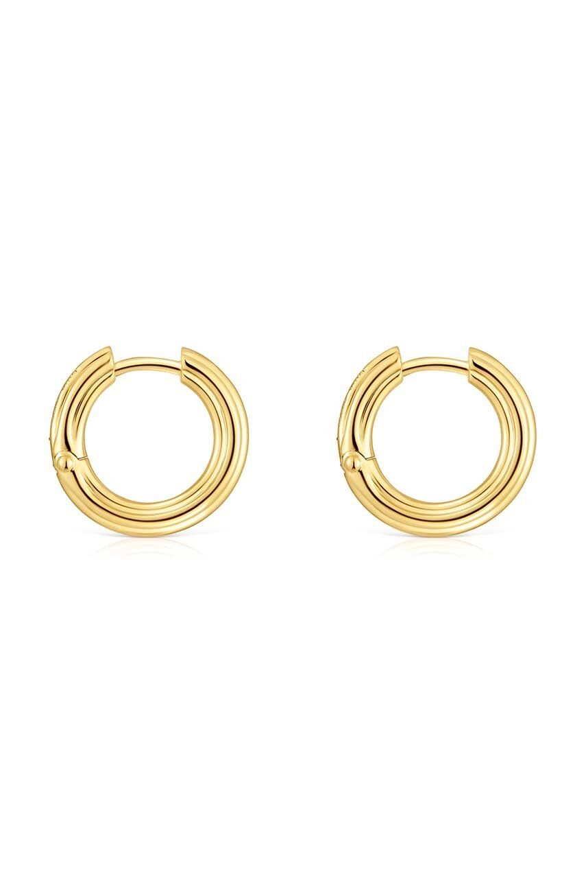 Earring / 1004243500