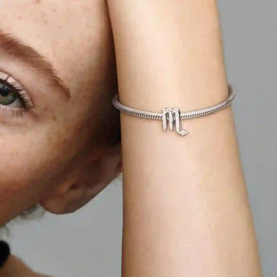 PANDORA Moments Charm / 798430C01