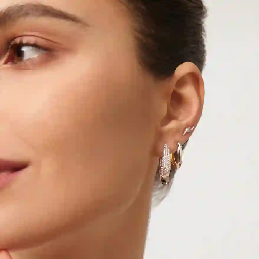 Earring/E051-02H