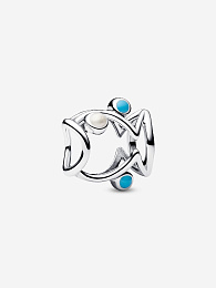 Pandora Moments Charm / 793819C01