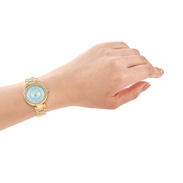 Automatic Wristwatch/JC1L308M0055