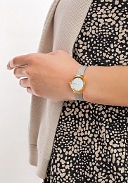 კორპუსის მასალა