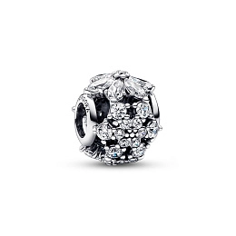 Charm/792383C01
