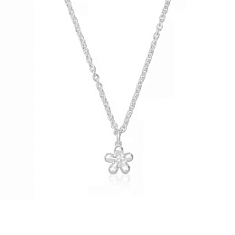 Necklace & Pendant / 1004319300