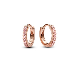 Pandora Timeless Earring / 283015C01