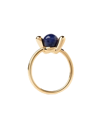 Ring / AN01-D21-14