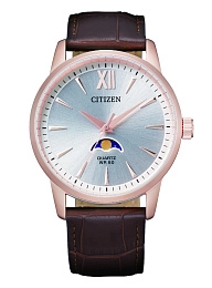 Quartz Wristwatch/AK5003-05A