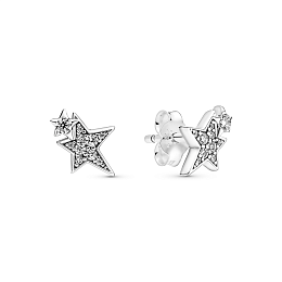 Earring/290012C01